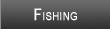 Lake Shafer Fishing